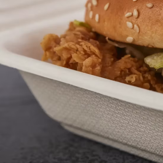 Paper Pulp Sugarcane Bagasse Biodegradable Disposable Fast Food Packaging